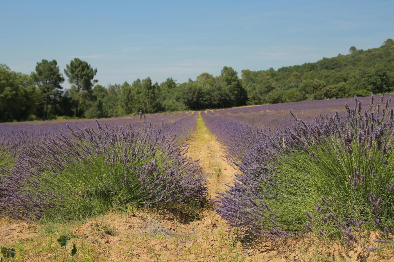 Bed and Breakfast Les Yourtes De Provence Saint-Paulet-de-Caisson Экстерьер фото